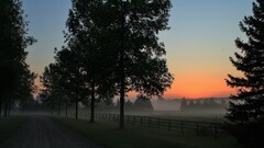 landscape Trees road sunset mist