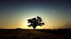landscape Trees Stars sky nature