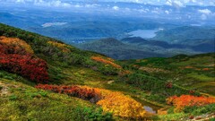 landscape Trees water nature