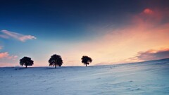 landscape Trees winter sky snow