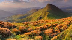 landscape Ukraine nature