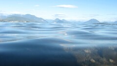 landscape underwater water Sea