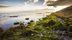 landscape water nature