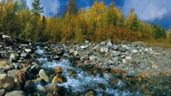 landscape water Trees nature stones