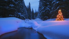 landscape winter snow Christmas night nature