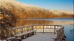 landscape winter water bench