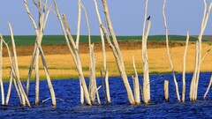 landscape Wood water outdoors nature field