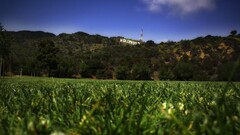 landscape worm's eye view grass Hollywood signs hills California