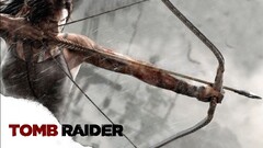 lara croft tomb raider 2013 video games