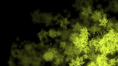 leaves Plants Typography