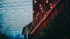 lights Christmas Lights bokeh wires Plants building Lamp red