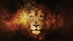 lion