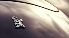 lizards Car Wiesmann