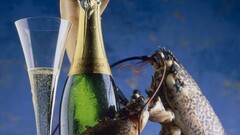 Lobsters crustaceans Champagne Animals bottles alcohol