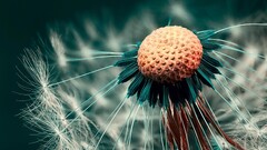 macro Plants closeup