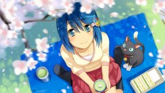 madobe nanami cats Anime blue hair