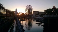 mickey mouse sunset reflection palm trees Ferris Wheel