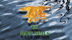 military simple united states Navy