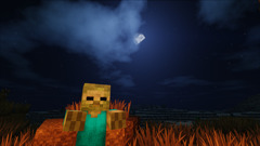 minecraft video games PC gaming screen shot