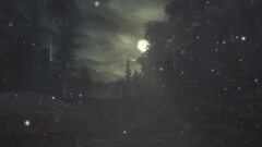 Minimalism blurred Trees landscape nature