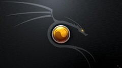Minimalism dragon Kali Linux Linux gold