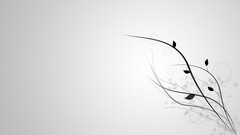 Minimalism leaves branch Simple Background Plants