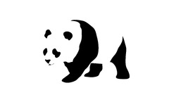 Minimalism panda Animals