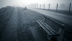 mist bench fence grass path road