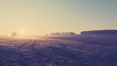 mist sunset field Trees grass landscape