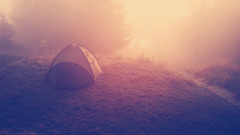 mist sunset nature sun camping