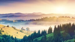 mist Trees forest Mountains landscape nature