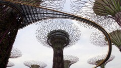 modern artwork nature tower building Bridge