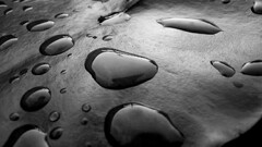 monochrome water drops macro