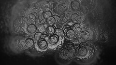 monochrome water liquid