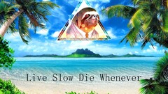 motivational sloths humor artwork