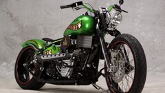 motorcycle custom vehicle