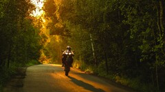 motorcycle nature wheelie sunset Honda cbr 1000 rr road forest