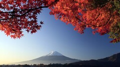 mount fuji Japan fall leaves Mountains volcano