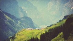 Mountains switzerland Trees landscape mist