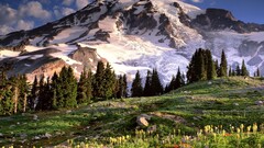 Mountains Trees nature