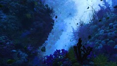 multiple display underwater fish nature Sea