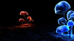 mushroom nature digital art Simple Background red blue