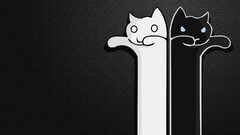 Music cats selective coloring artwork