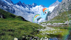 my little pony rainbow dash switzerland Photoshop