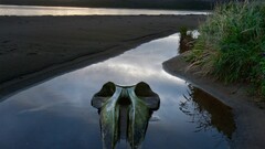national geographic skull river chile nature outdoors