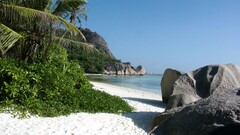 nature beach palm trees stones tropical Sea rock sand