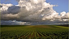 nature clouds sky field landscape