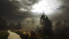 nature clouds sunlight Trees forest road path mist dirt road