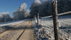 nature fence path snow Trees winter dirt road