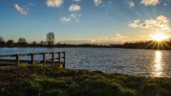 nature forest Lake sunlight